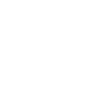 Scuba Diving icon- Galaxy Cruises