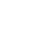 Icon Flight