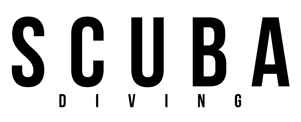 Asian Diver Logo
