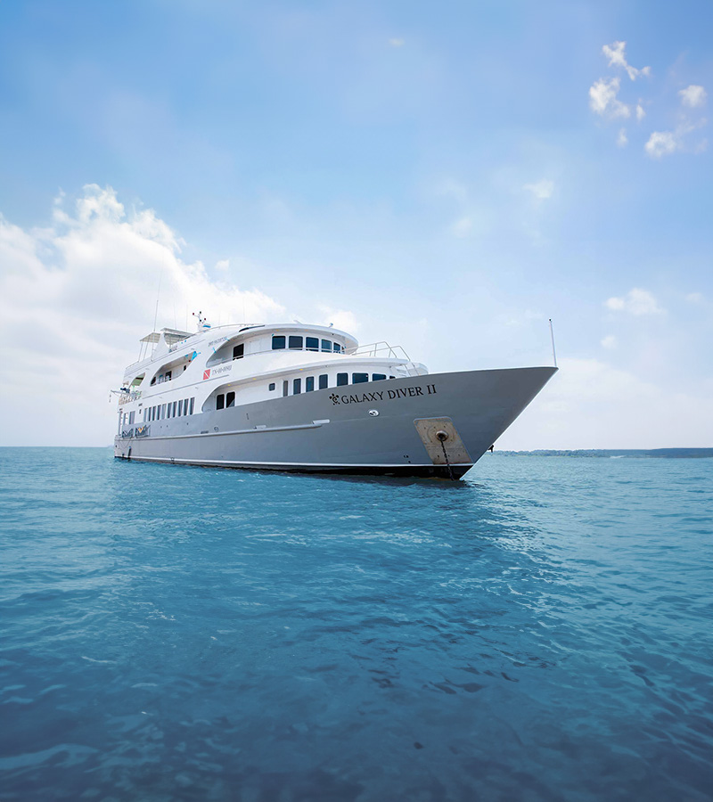 Portada- Galaxy Cruises