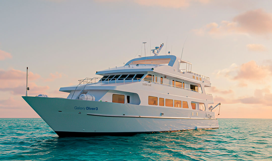 Exterior Slide Galaxy Diver 3 - Galaxy Cruises
